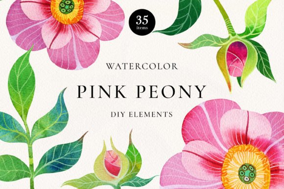 Download Pink Peony Watercolor DIY Elements - Diy elements Collection