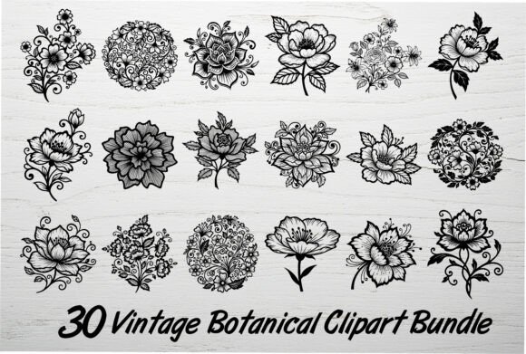 Download 30 Vintage Botanical Clipart Bundle - Bundle Collection