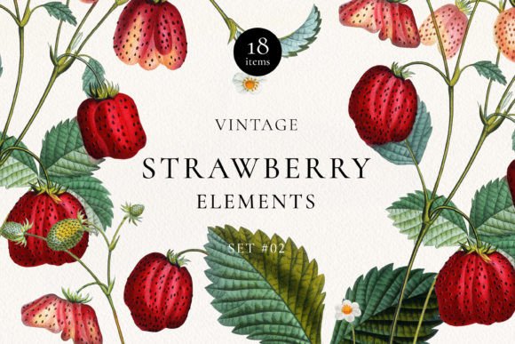 Download Vintage Strawberry Plant DIY Elements - Diy elements Collection