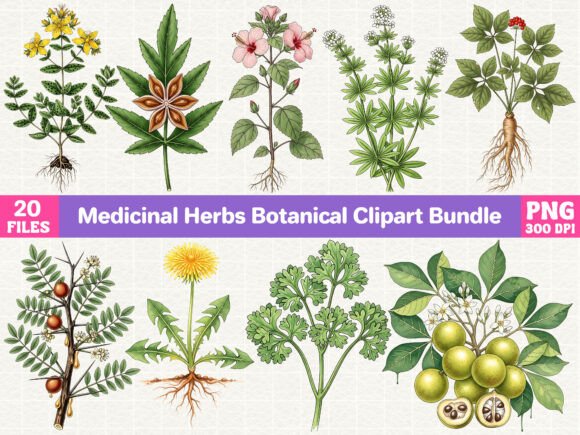 Download Medicinal Herbs Botanical Clipart Bundle - Bundle Collection